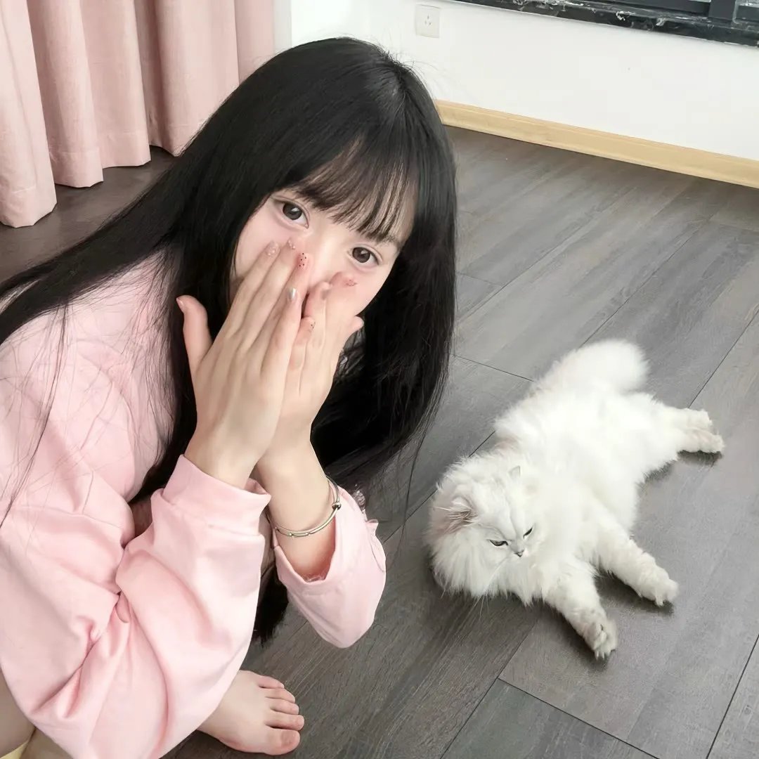 长歌行动画版